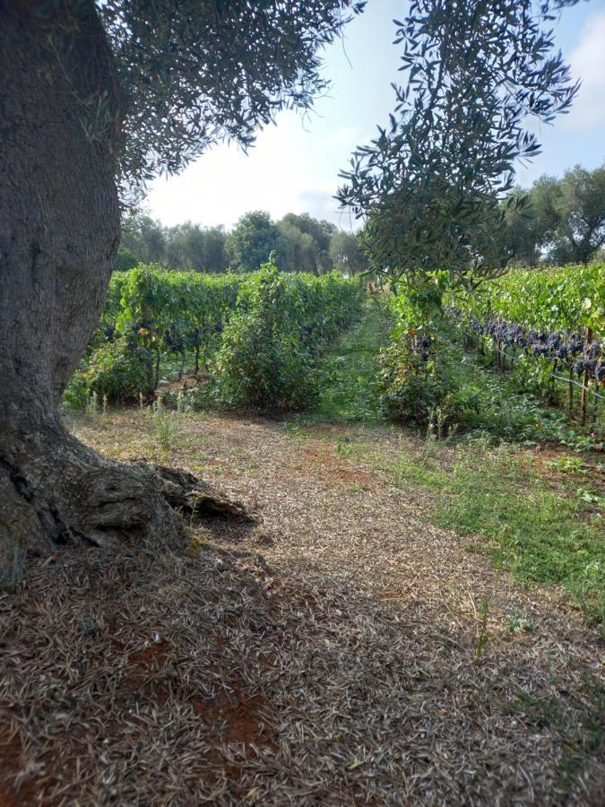 Masseria Ottavianello Doc Ostuni Villa Buitenkant foto